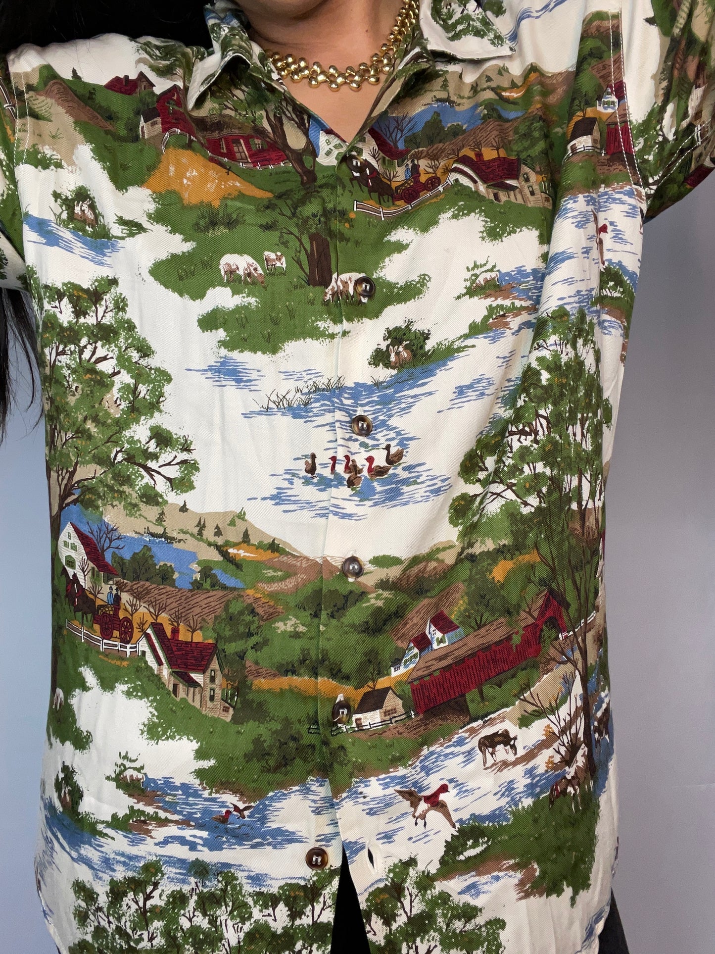 Vintage Scenic Country Side Button Up (M)