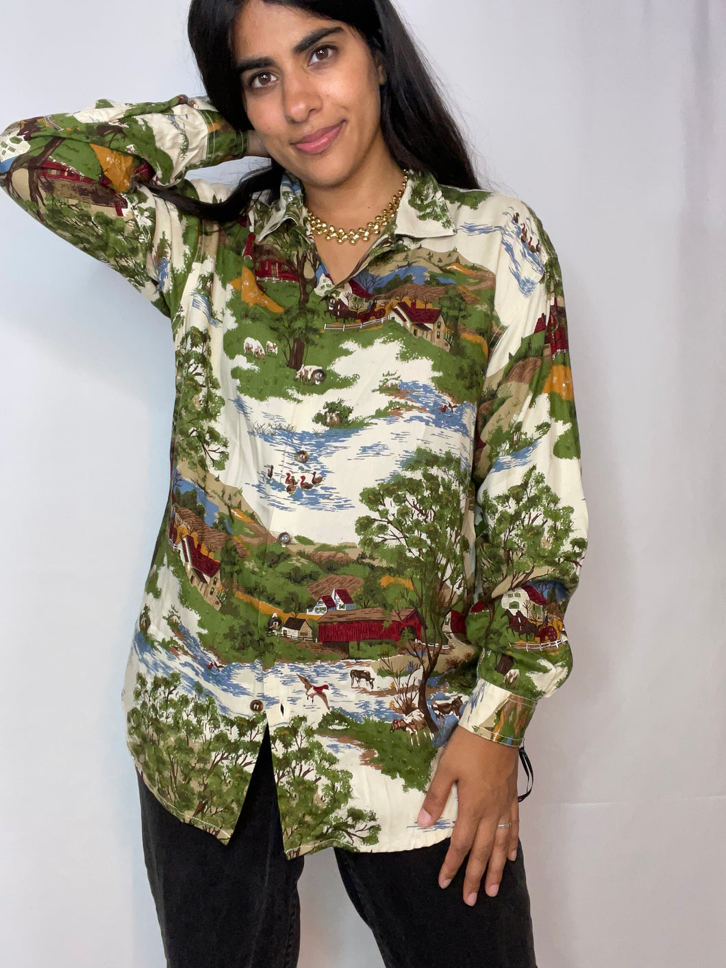 Vintage Scenic Country Side Button Up (M)